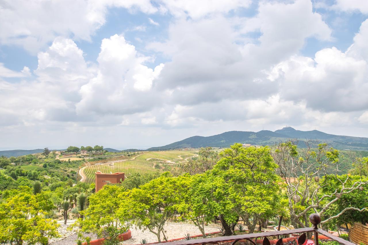 Hotel Camino De Vinos Γκουαναχουάτο Εξωτερικό φωτογραφία