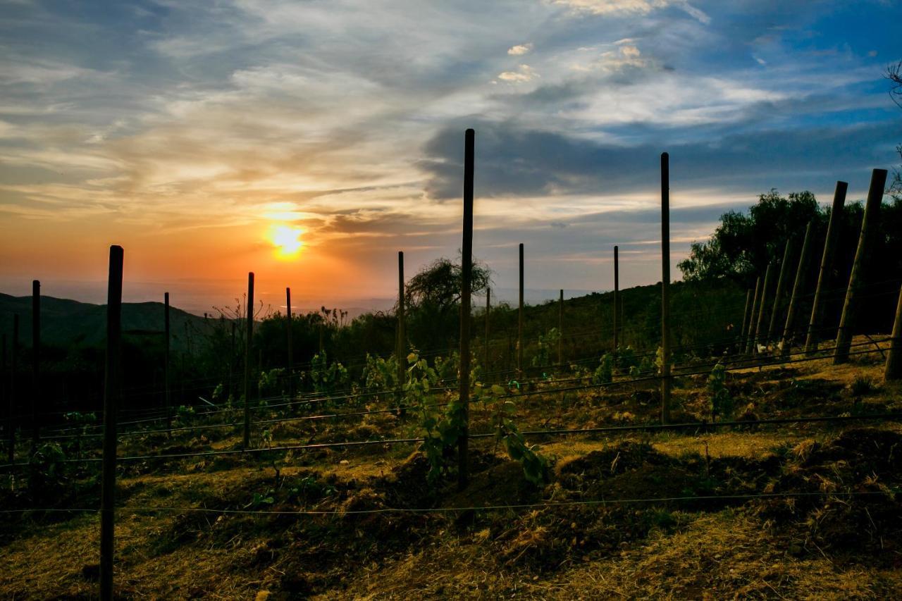 Hotel Camino De Vinos Γκουαναχουάτο Εξωτερικό φωτογραφία